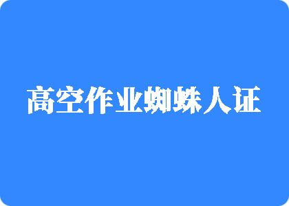 草逼视频网站入口高空作业蜘蛛人证